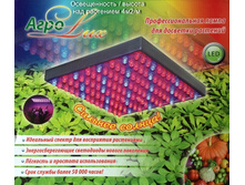 ����� ��� ��������� ������� 14W ������� ������. ������� ������. 1916 ���..jpg