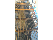 P 20180308 161402-01.jpeg