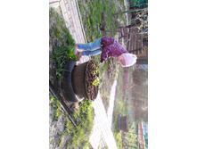 IMG 20160502 175711.jpg