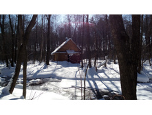 IMG 20180310 122230.jpg