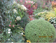 ��� ���. ������� 2018 �.