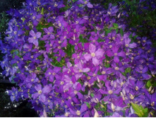 2015-07-22 20.37.09.jpg