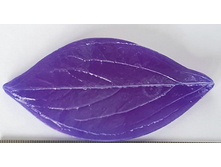 ���� ����� �.jpg