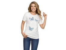 DFT6729/1 �������� ������� (1 �� � ���.)