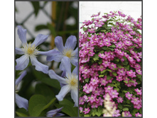 2016 ��� (101).jpg