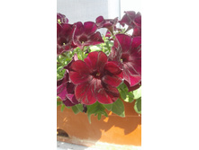 2017 ��� (109).jpg