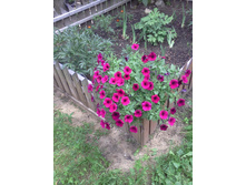 0 ����� 2016� (7).jpg