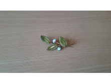 PHOTO 20180311 102351.jpg