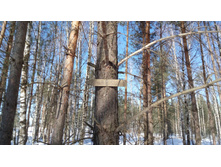 IMG 20180311 123035.jpg