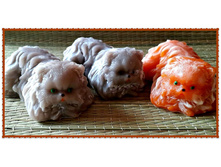 ���������� ���, ���� 110 ���