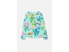 20210170054   Kizil          .jpg