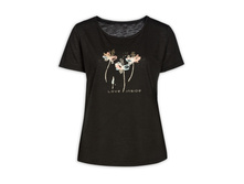 DFT6624 �������� ������� (1 �� � ���.)