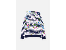 20220130127   Grus          (    ).jpg