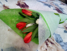 IMG 20180307 092716 HDR.jpg