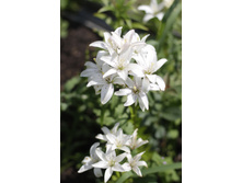 2016 ��� (25).JPG