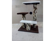 �� 895 ���  (70 ���)  ������� �������� "���������"