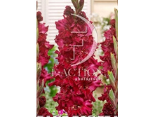 �������� ������ 15,00