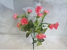 2042 ����� ������ ���, 30 ��., �������, �����, 1 �����. 56�