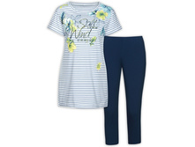 PFAML6731 �������� ������� (1 �� � ���.)