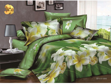 ������ ����.jpg