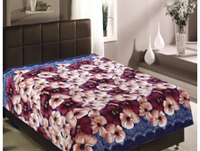 TF MF F42 1822 ������.JPG