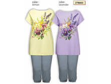 ZTB683 ������ ������� (1 �� � ���.).jpg