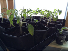 ������� ��������� �� ������ 1 �����