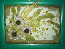 IMG 20180127 135358 1.jpg