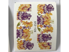 �������-������ 1 �� 13 ���