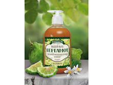 ���� �������� � ������� �� ���������� �������� � ������� 460�� - 150 ���..jpg