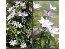 2016 ��� (96).jpg