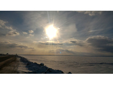 P 20180317 161949-01.jpeg