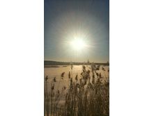 P 20180308 161440 HDR-01.jpeg