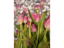 20180307 200527.jpg
