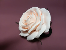 IMG 20180225 192649.jpg