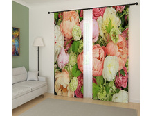 08572-��-��-001 �����.jpg