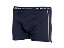 �������� ������ 2 ��. "BOKAI" ���-017, 168 ���.