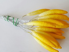 ������ ����� ������ L.jpg