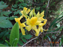 DSC00478.JPG
