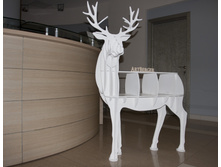 ���� �����