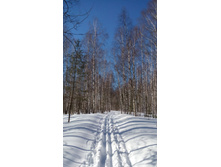 IMG 20180311 122619.jpg