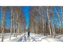 P 20180308 142152-01.jpeg