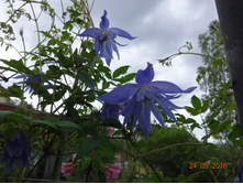 DSC02267.JPG