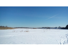 IMG 20180310 111823.jpg