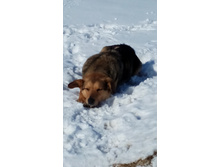 IMG 20180324 135659.jpg