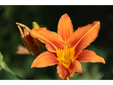 �������� ����� (�ϣ ����)