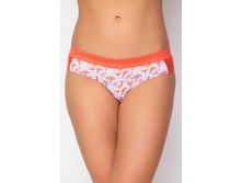 DSL0761 ����� ���������� �������