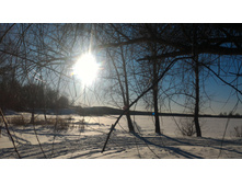 P 20180308 161029.jpg