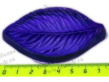 ���� ����� ���� L.jpg