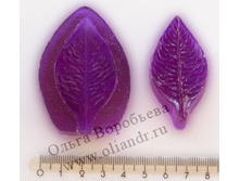 ���� ����� ���� ������� �.jpg